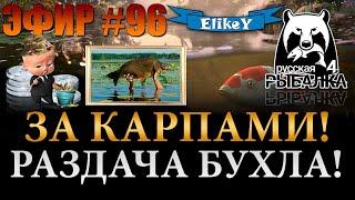 За Новым Рангом! • Ловим Трофейных Карпов! • Розыгрыши и Общение • Русская Рыбалка 4 • ЭФИР #96