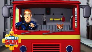 Fireman Sam & Lion! | Fireman Sam | Kids Cartoon