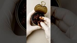 Would You Eat This? #goodtoknow #vet #medicine #dogfood #healthy #nomnom #surgeon #doctor #junkfood