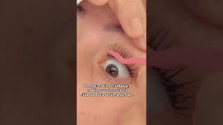 #lashes #lashtrends #lashtutorial