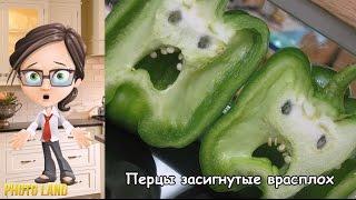 У продуктов тоже есть чувства || PHOTO LAND (еда, продукты, страх, чувства)