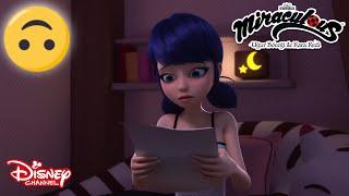 Böcüş ve Kara Muz | Mucize: Uğur Böceği ile Kara Kedi | Disney Channel TR