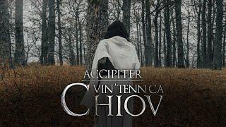 Accipiter - VIN'TENN CA CHIOV