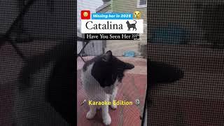 Karaoke slow jam song ode to CATALINA The Chi-Lites HAVE YOU SEEN HER We Miss The Kitty Cat’s Meow