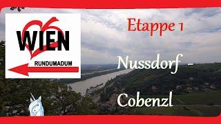 Wiener rundumadum-Wanderweg - Etappe 1: Nussdorf - Cobenzl - Wandern in Wien