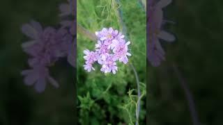 #naturelovers ️️️️