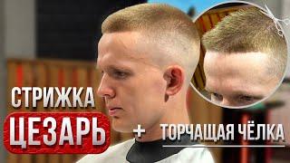 Мужская стрижка | Стрижка Цезарь | Caesar | Barber | Барбер | Фейд | Fade | Мужские стрижки 2024 |