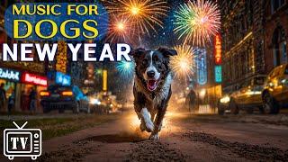 Dog TV: New Year’s Celebration | Anti-Anxiety Music to Protect Dogs from Loud Bangs & Fireworks