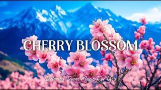 Immerse Yourself In The Melodious Piano Music, All Your Worries Will Disappear | Cherry Blossom 