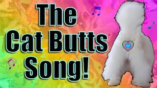 The Cat Butts Song!  Parody of Whiter Shade of Pale - Procol Harum