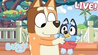 LIVE: Best of Bluey Series 2! | FULL EPISODES | Bluey