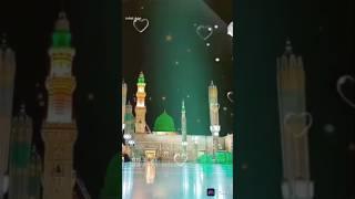 Main To Malik Hi Kahunga Ke Wo Malik Ke Habib ️️️