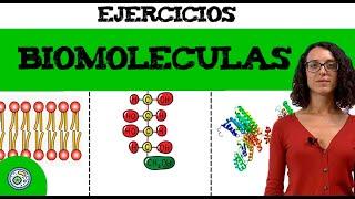 Biomoléculas (2)  ejercicio resuelto EBAU, EvAU/PAU