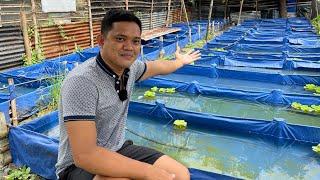 I.T. to ORNAMENTAL FISH FARM and PET SHOP BUSINESS