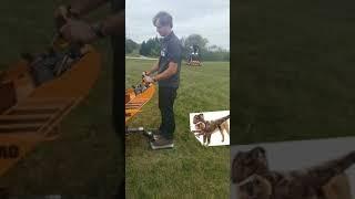 Raptor dog(2)