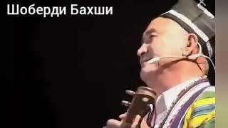 Шоберди бахши