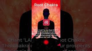 Root Chakra Cleansing - Day 1 Chakra Cleansing Meditation -  LAM Chant