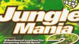 Jungle mania 2 cd 1