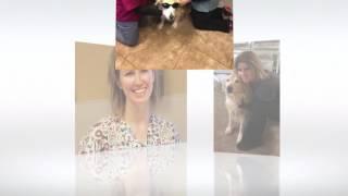 Animal Hospital of North Gwinnett
