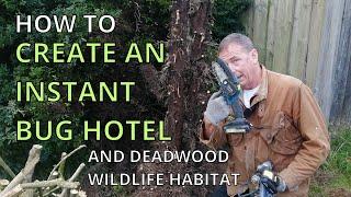 Instant Deadwood Wildlife Garden Bug Hotel Hibernaculum