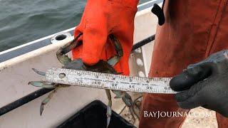 Crab pot study on the Patuxent River (2020)