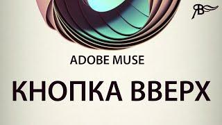 Кнопка вверх в Adobe Muse