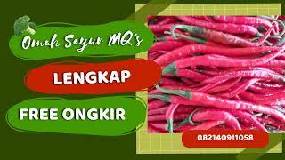 Supermarket Sayur Online Super Lengkap di Sawojajar Malang Info WA 082140911058