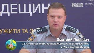 В Ренийском районе обнаружили теплицу с коноплей