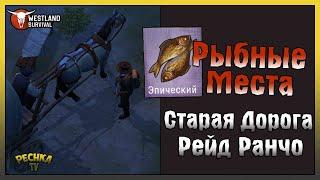 ЛУЧШИЕ МЕСТА ГДЕ ВЗЯТЬ РЫБУ! СТАРАЯ ДОРОГА И РЕЙД СОСЕДА! - Westland Survival