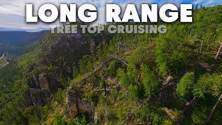 Long-Range FPV | tree top cruising