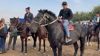 Shahidon ot bozori bugungi narhlar bilan tanishing 17.09.2024yil