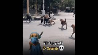 girl riding dog #viral #trending #kids #shorts