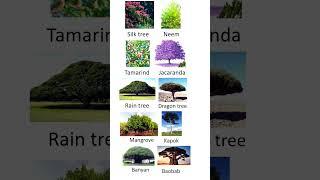 Erotic tree name in English- 10 vocabulary with pictures #learnenglish #shorts #ytshorts #erotic