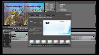 3D Training with the 3DGuy: Edius Bluray 3D