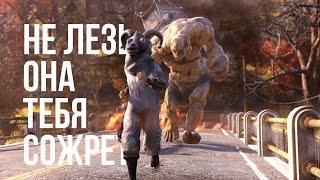 Обзор за минуту Fallout 76 | Начни свой день с Fallout | 2021