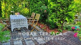 О новой террасе и синем цвете в фарфоровом саду