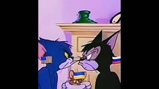 damm tom 