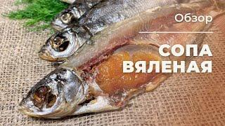 ВЯЛЕНАЯ СОПА (СИНЕЦ)