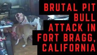 Two Pit Bulls Attack Another in Mendocino County