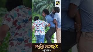 හේමක හා ලැම්බට් ට මැර ප්‍රහාර