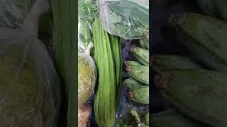 ලංකාවෙන් ඉතාලියට2025. 02.26 #travel