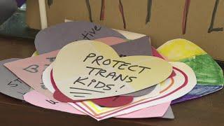 Idaho's transgender care ban for minors stands after Supreme Court ruling on Tennessee law
