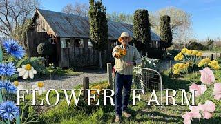  A Behind-the-Scenes Tour of the Park Winters Flower Farm | Sustainable Gardening & Floral Magic 