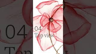 8 ways to paint transparent flowers with watercolor! What’s YOUR favorite? #watercolortechnique