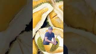 Whats up #Catching durian #Shorts#Viral today