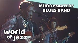 Muddy Waters Blues Band Live At The North Sea Jazz Festival • 15-07-1979 • World of Jazz