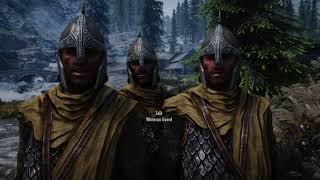 Skyrim AE - Every Whiterun Guard Lines in 80 sec