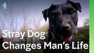 A stray dog helps a grieving husband | The Dog House  | Crackerz the terrier