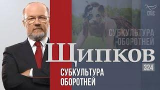 Щипков 324. «Субкультура оборотней»