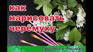 как нарисовать черёмуху поэтапно / how to draw a bird cherry in stages